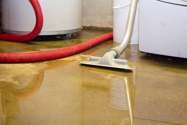 Best Commercial water damage restoration  in Sistersville, WV