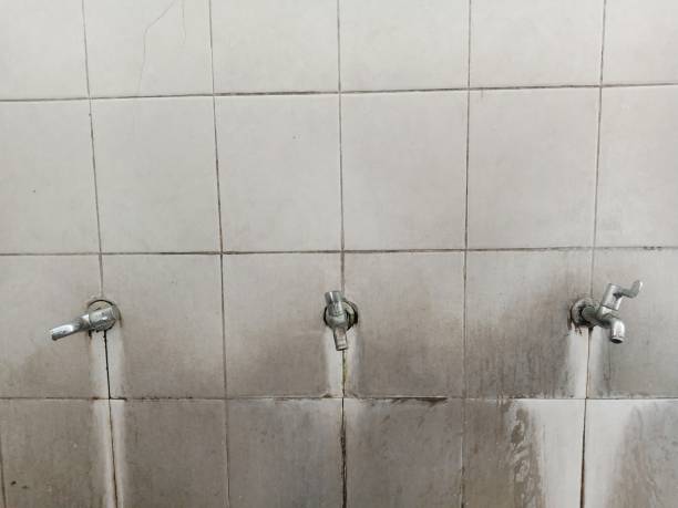 Best Mold removal after water damage  in Sistersville, WV