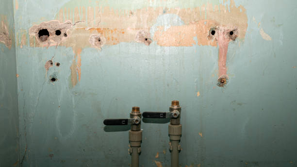 Best Water damage cleanup near me  in Sistersville, WV