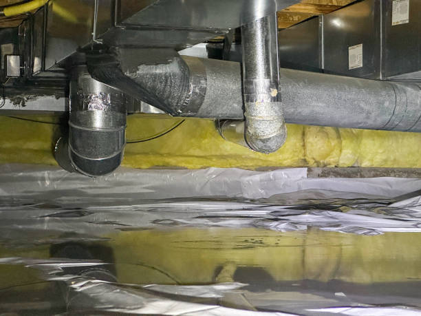 Best Basement water damage restoration  in Sistersville, WV