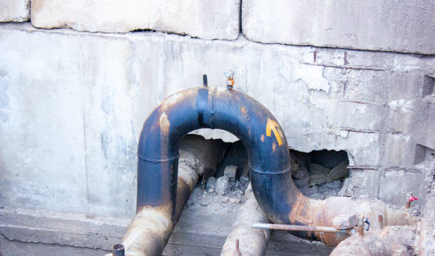 Best Local water damage restoration  in Sistersville, WV
