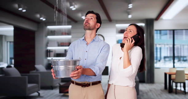 Best 24/7 water damage repair  in Sistersville, WV