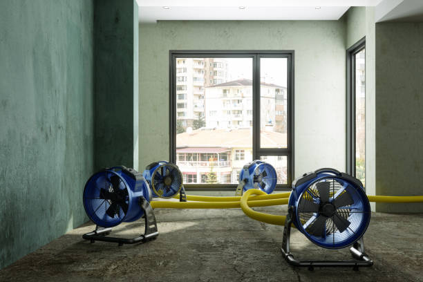 Best Emergency water damage restoration  in Sistersville, WV